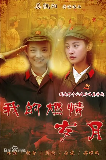 《我的燃情岁月》：青春的躁动与梦想的追逐，一部关于友谊、爱情和摇滚的电影！