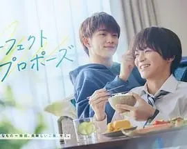 《完美求婚》：当职场精英遭遇腹黑年下男，一场浪漫又现实的爱情博弈