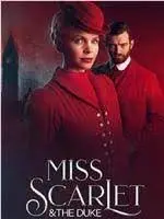 《天堂岛疑云 第十三季》：阳光下的罪恶升级，推理迷的加勒比海盛宴！