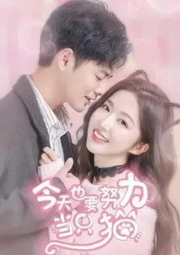 《今天也要努力当只猫》：当萌宠治愈都市焦虑，一场意想不到的“猫”式人生喜剧